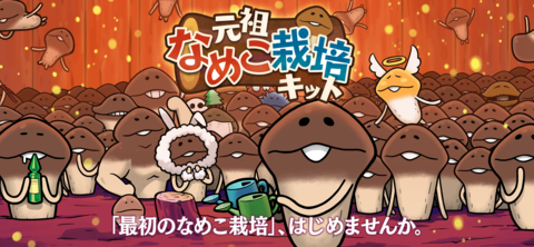 元祖 なめこ栽培キット